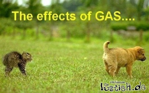 Der Gaseffekt