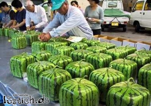 Eckige Melonen Eckige Melonen