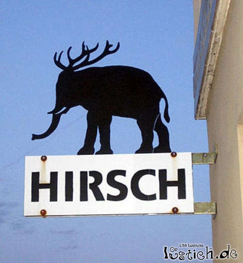 Hirsch Bild lustich.de