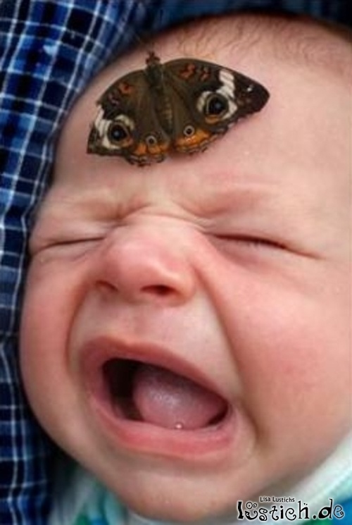 Gefährlicher Schmetterling Gefährlicher Schmetterling