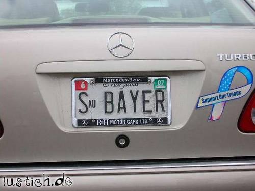 Sau-Bayer
