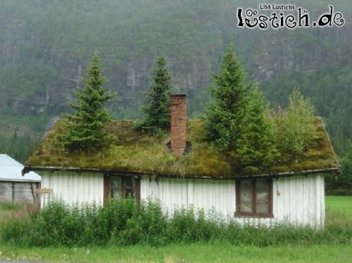 Tannenhaus