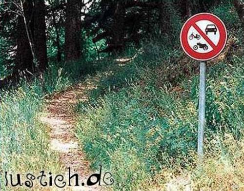 Kleiner Waldweg Kleiner Waldweg