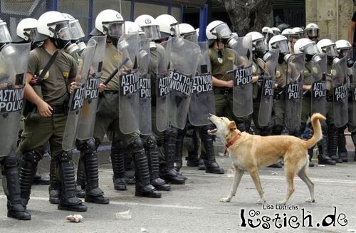 Hund bellt Polizei an