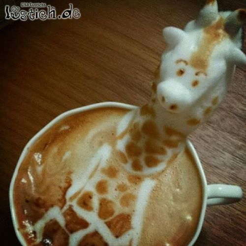 Giraffen-Kaffee