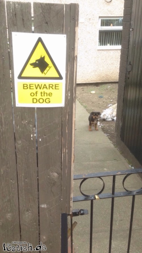 Vorsicht vor dem Hund Bild lustich.de
