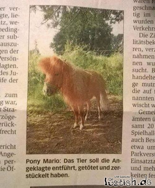 Böses Pony