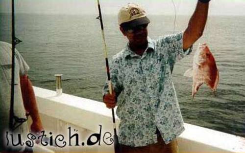 Fisch abgebissen Fisch abgebissen