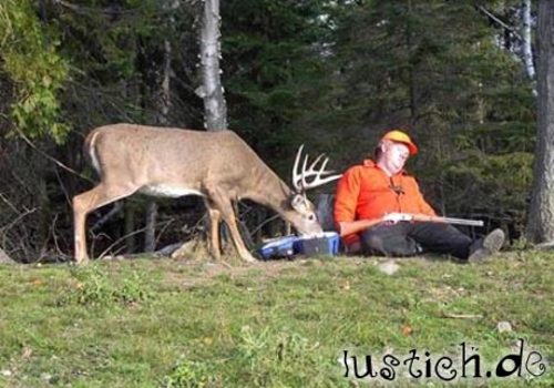 Schlafender Jäger Schlafender Jäger