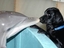 Delfin und Hund