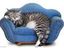 Katzencouch