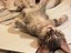 Das war anstrengend