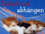Kalender für 2011