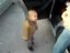 Baby tanzt zu Techno