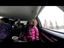 Elch im Auto